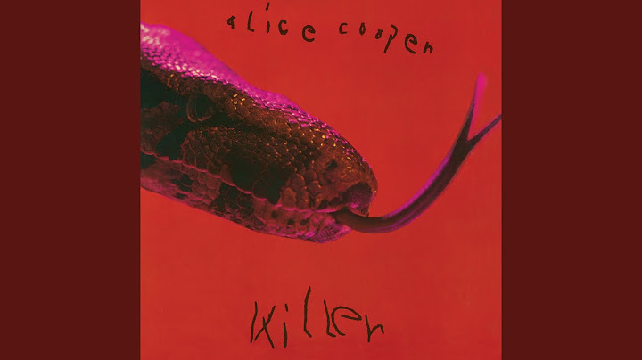 Kill The Flies