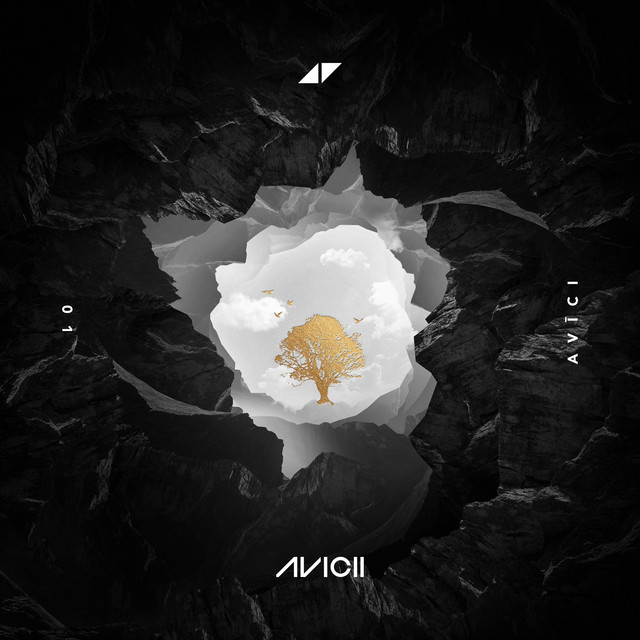 So Much Better (Avicii Remix)