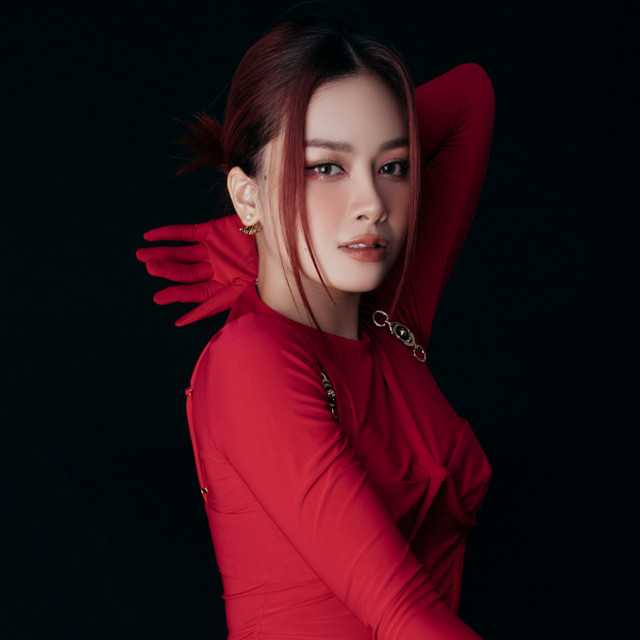 Dương Hoàng Yến profile image