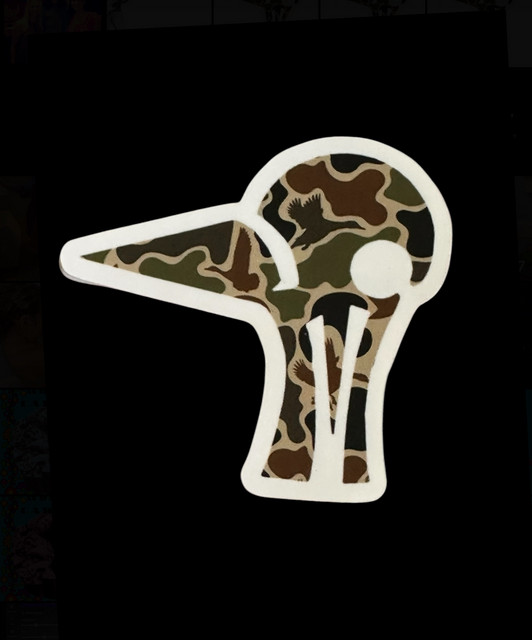 Futurebirds profile image