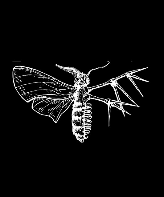 Holding Absence profile image