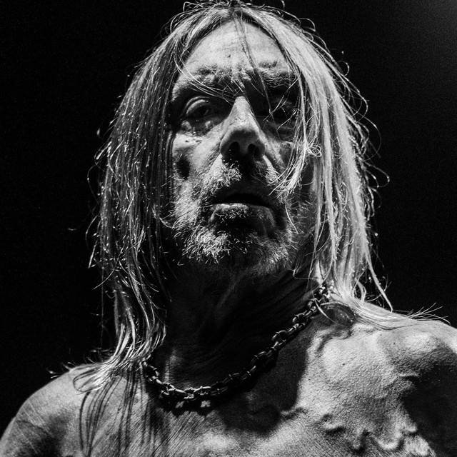 Iggy Pop profile image