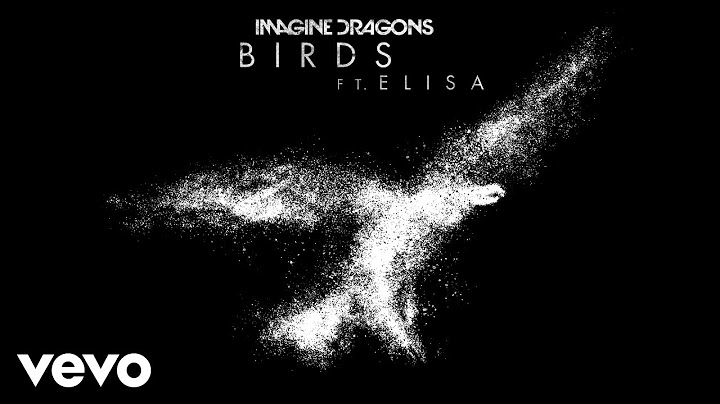 Birds (Remix)