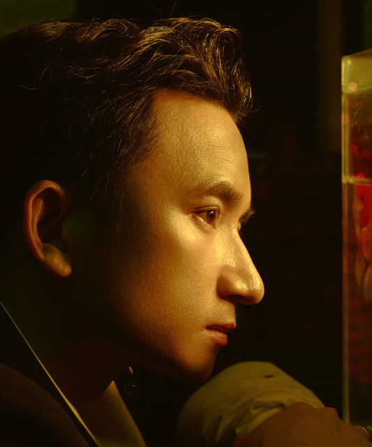 Phan Mạnh Quỳnh profile image