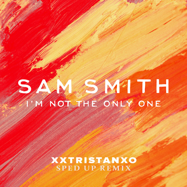 I'm Not The Only One (Remix)