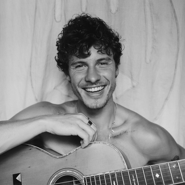 Shawn Mendes profile image