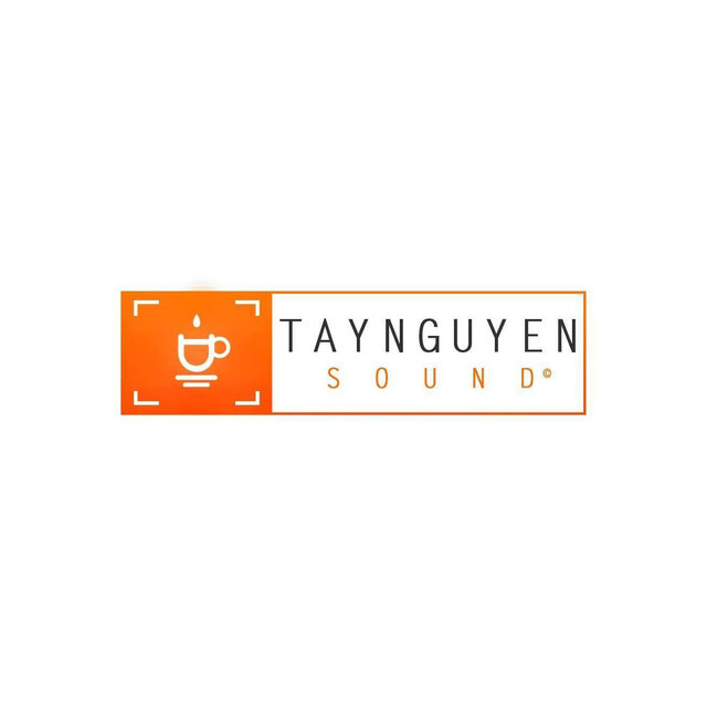TaynguyenSound profile image