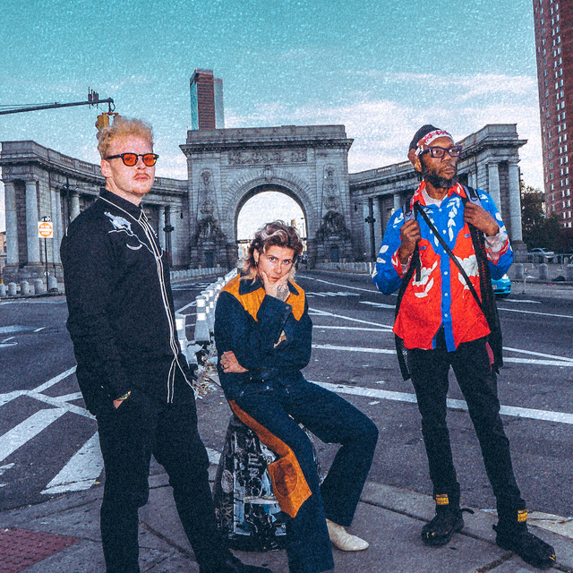 Too Many Zooz profile image